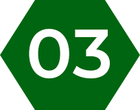 03