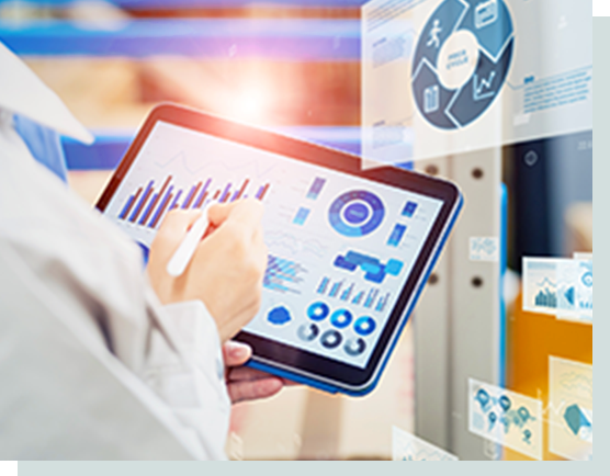 システム選定支援