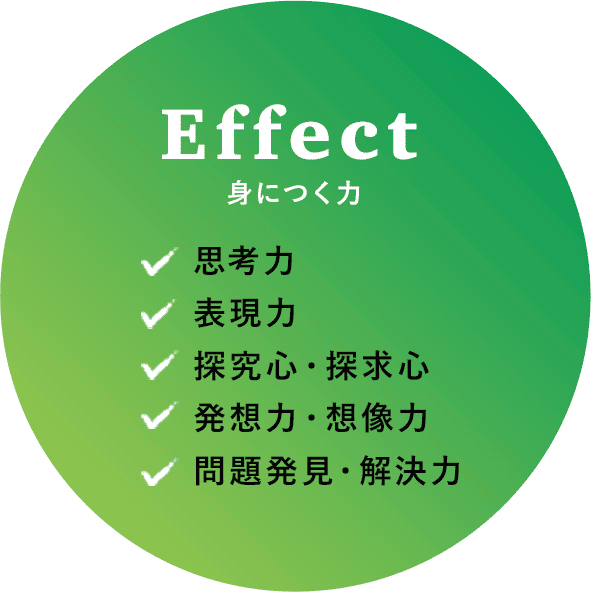 身につく力 思考力,表現力,探究心・探求心,発想力・想像力,問題発見・解決力