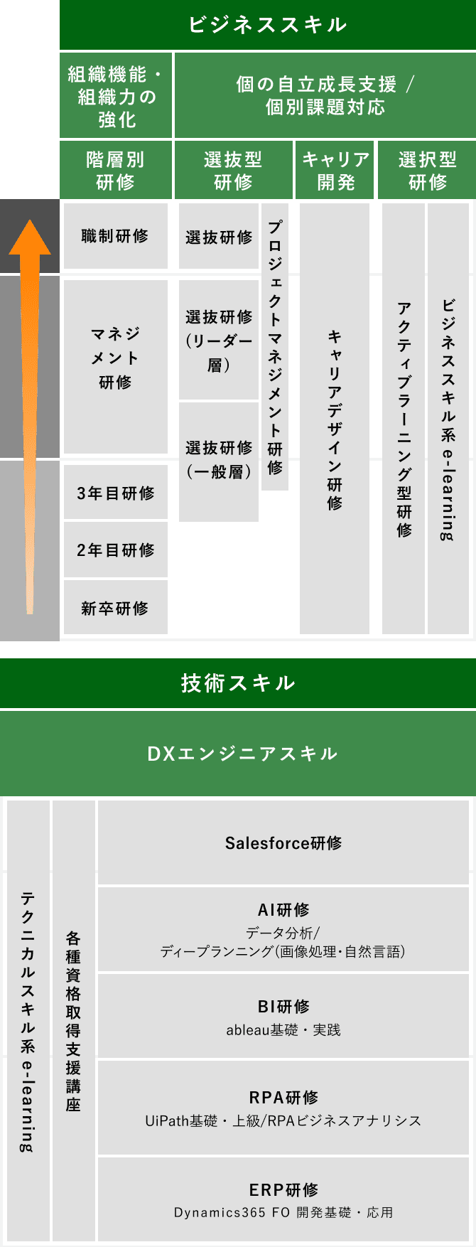 DXエンジニア キャリア形成研修図（ビジネススキル・技術スキル）