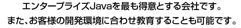 エンタープライズJavaを最も得意とする会社です。また、お客様の開発環境に合わせ教育することも可能です。